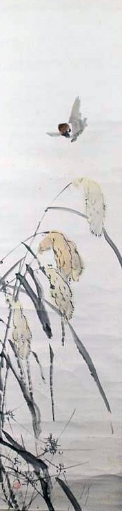 photo2.jpg