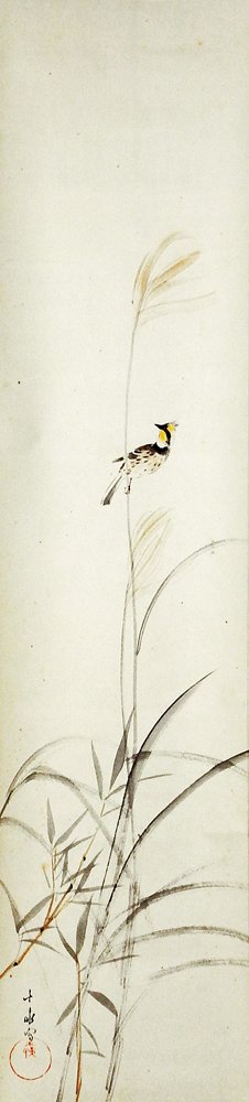 photo7.jpg