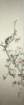 photo17_small.jpg