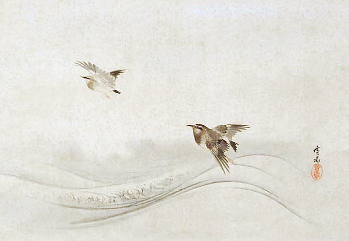 photo3.jpg