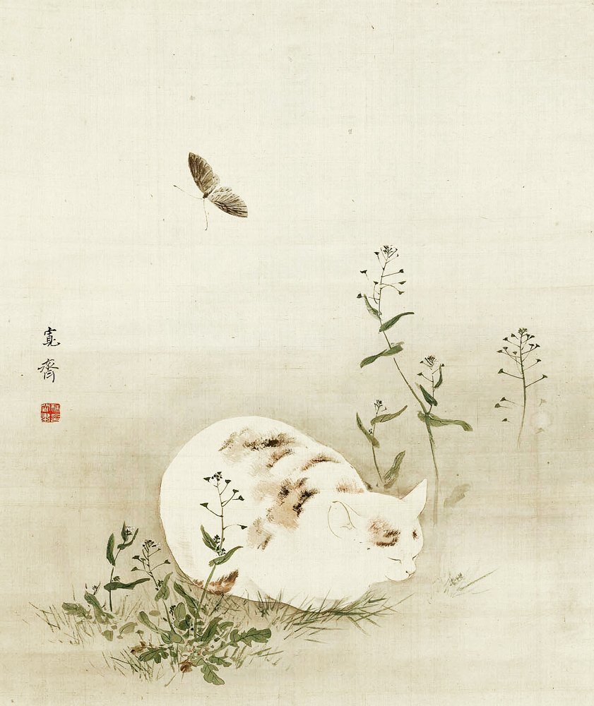 photo17.jpg