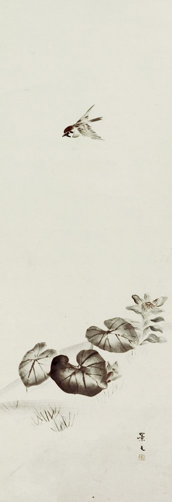 photo11.jpg