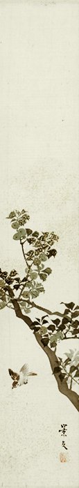 photo20.jpg