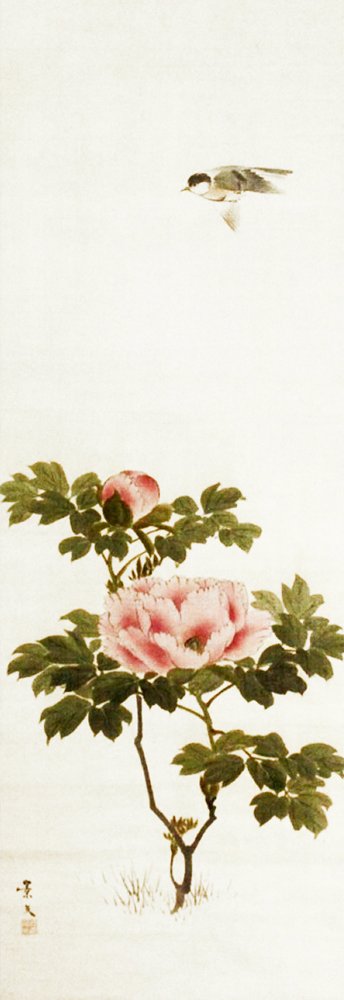 photo8.jpg