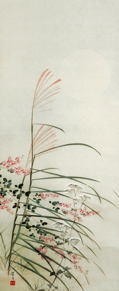 photo3.jpg