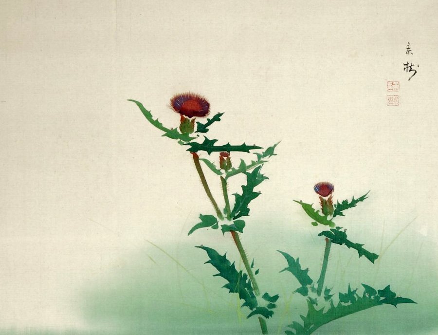 photo33.jpg