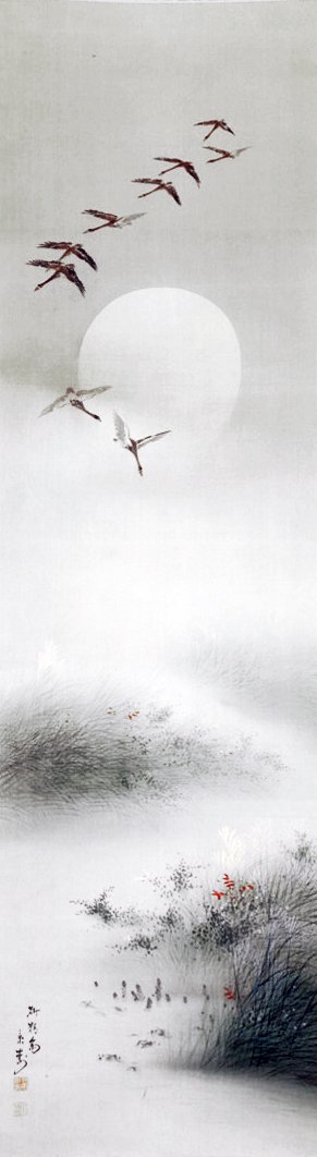 photo47.jpg