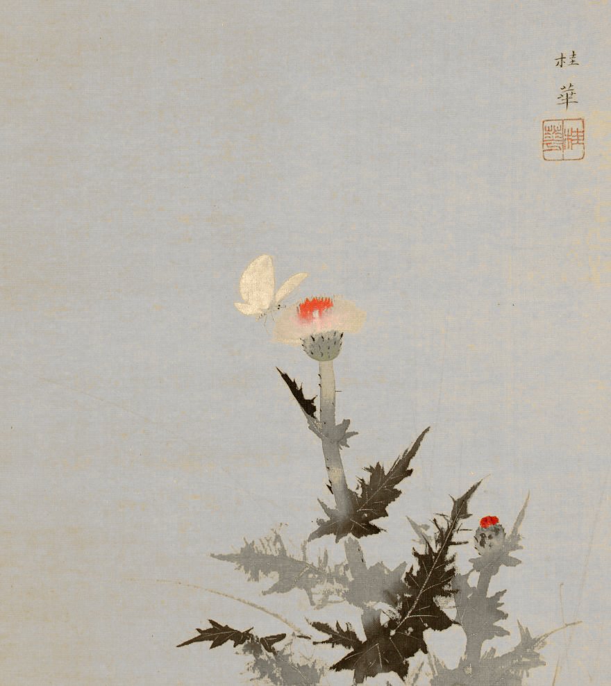 photo20.jpg