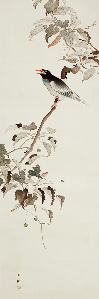 photo2.jpg