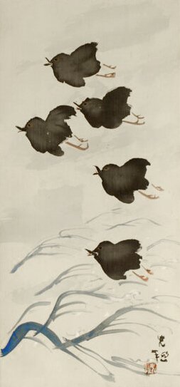 photo5.jpg