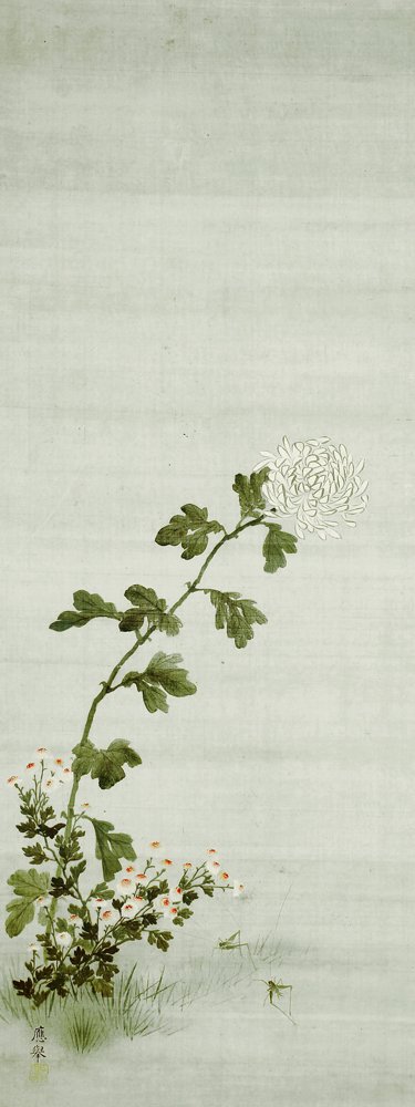 photo8.jpg