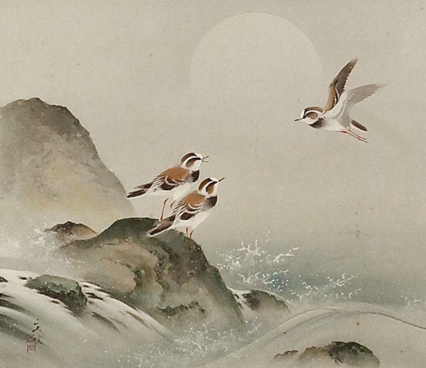 photo19.jpg