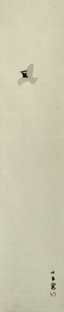 photo2.jpg