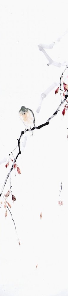 photo34.jpg