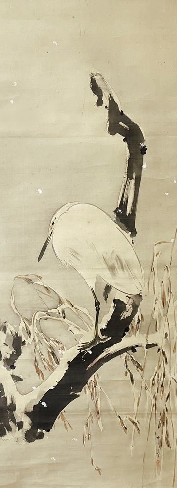 photo36.jpg