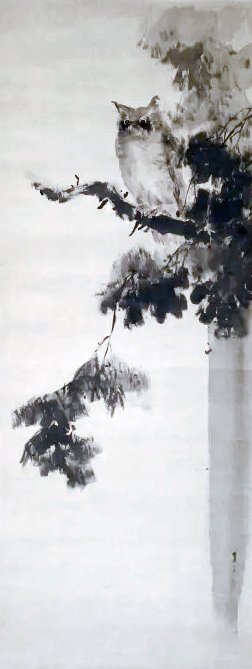 photo45.jpg