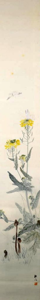 photo13.jpg