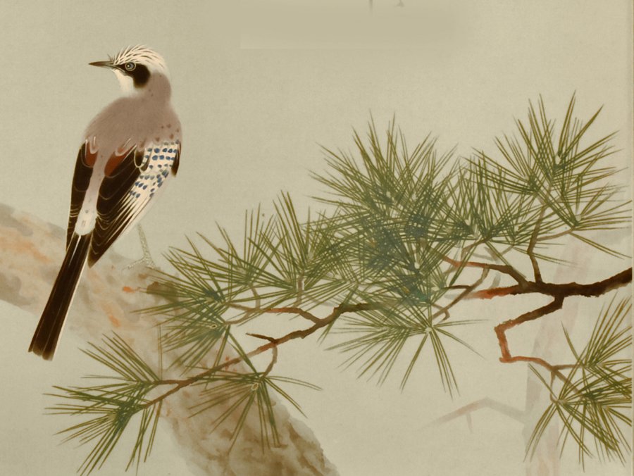photo23.jpg