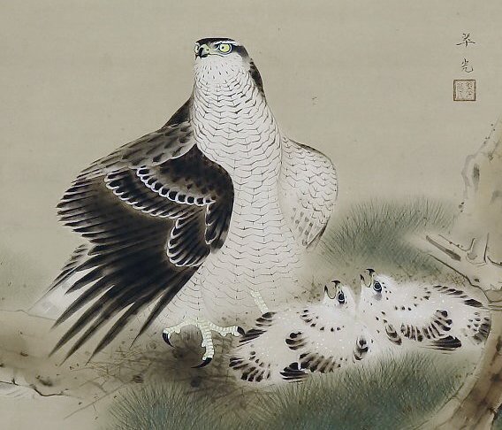 photo15.jpg