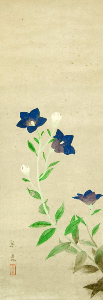 photo23.jpg
