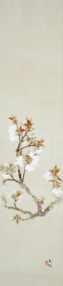 photo17.jpg