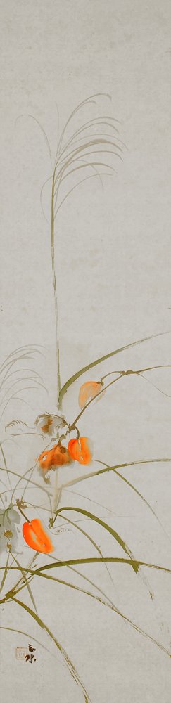 photo22.jpg