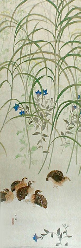 photo9.jpg