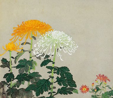 photo7.jpg