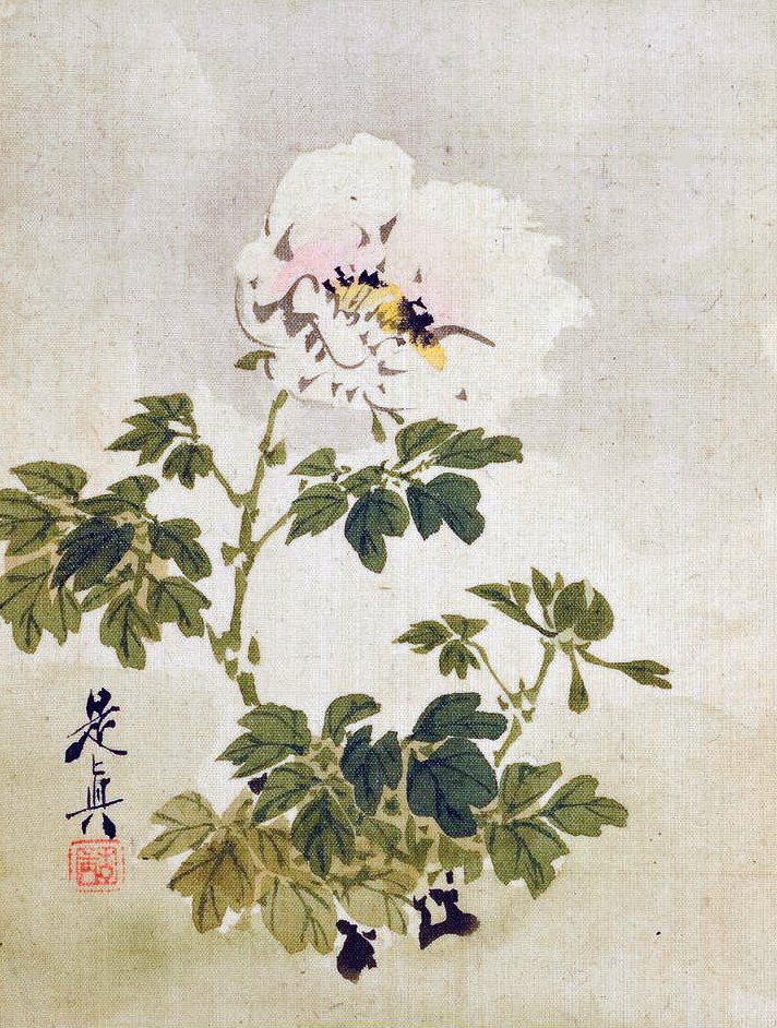 photo11.jpg