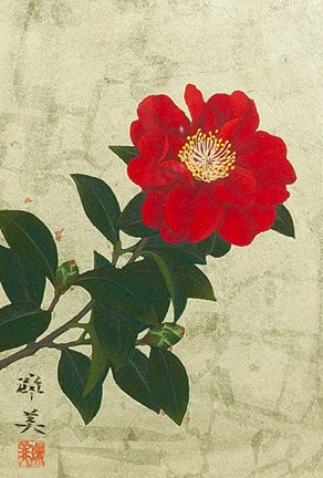 photo.jpg