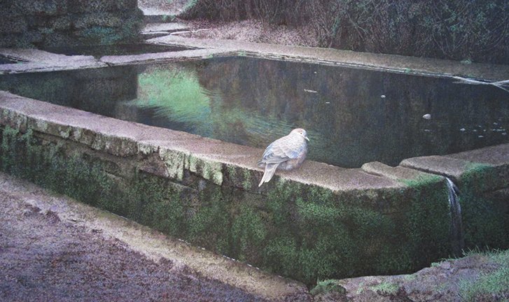photo11.jpg