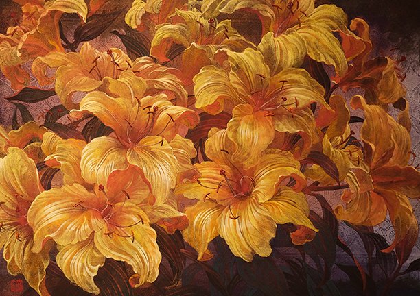 photo12.jpg
