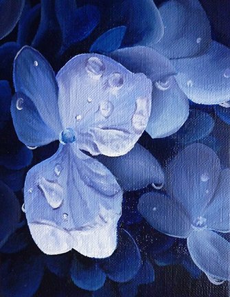 photo27.jpg