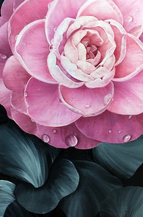 photo39.jpg