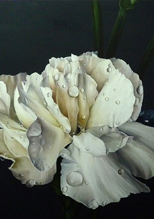 photo41.jpg