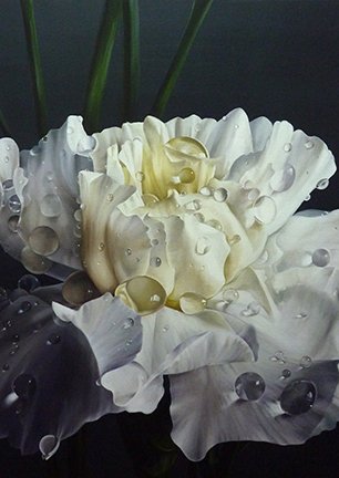 photo43.jpg