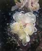 photo56_small.jpg