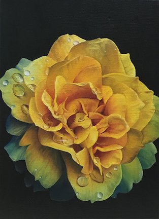photo62.jpg