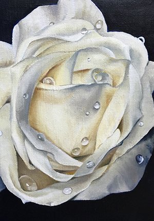 photo67.jpg