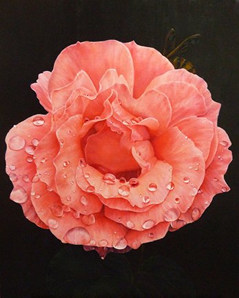 photo72.jpg