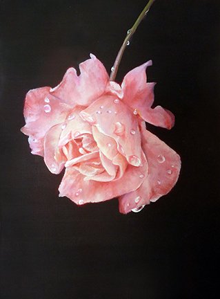 photo74.jpg