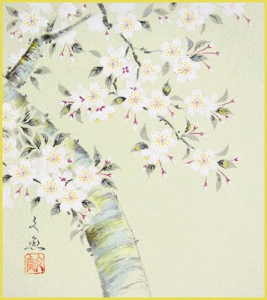 photo22.jpg