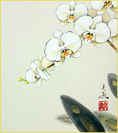 photo30.jpg