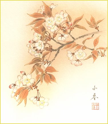 photo6.jpg