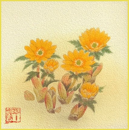 photo8.jpg