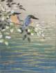 photo10_small.jpg