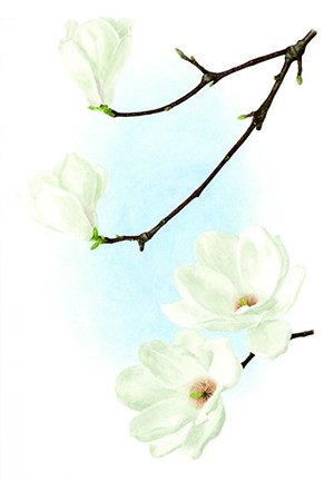 photo11.jpg