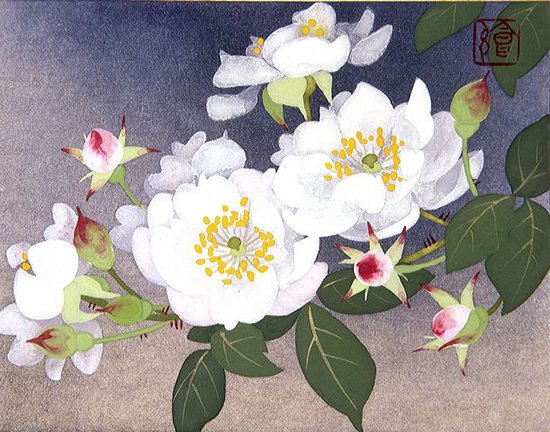 photo16.jpg