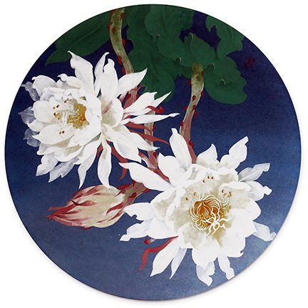 photo22.jpg