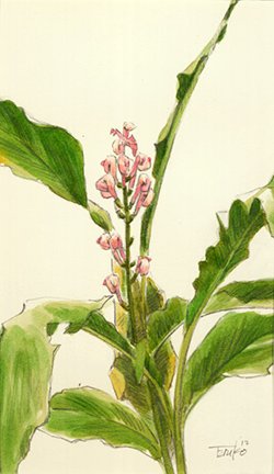 photo.jpg